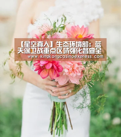 【星空真人】生态环境部:蓝天保卫战重点区域强化督查全面启动(图4) 星空APP