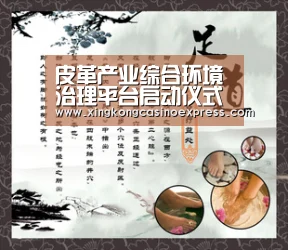 皮革产业综合环境治理平台启动仪式在京举行【星空体育】(图2) 星空下载