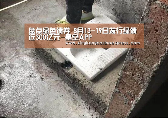 盘点绿色债券 8月13-19日发行绿债近300亿元-星空APP(图2) 星空APP
