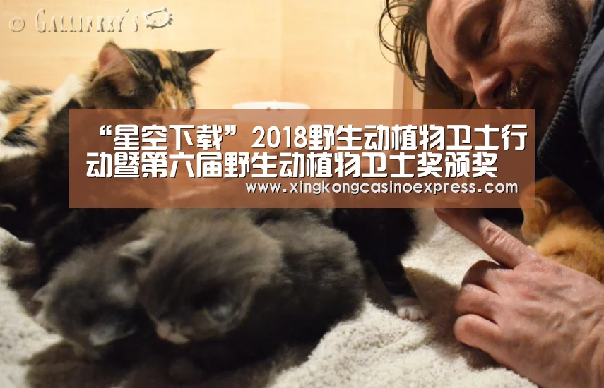 “星空下载”2018野生动植物卫士行动暨第六届野生动植物卫士奖颁奖典礼在京举行(图1) 星空APP