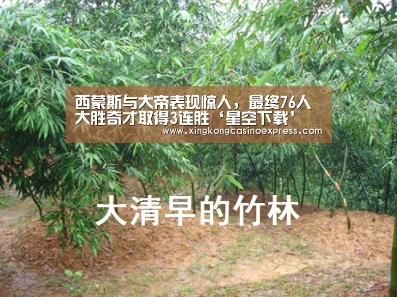 星空下载