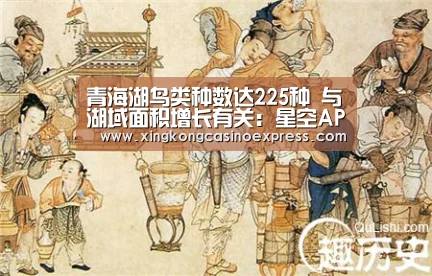 青海湖鸟类种数达225种 与湖域面积增长有关:星空APP(图3) 星空体育