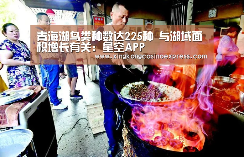 青海湖鸟类种数达225种 与湖域面积增长有关:星空APP(图1) 星空体育