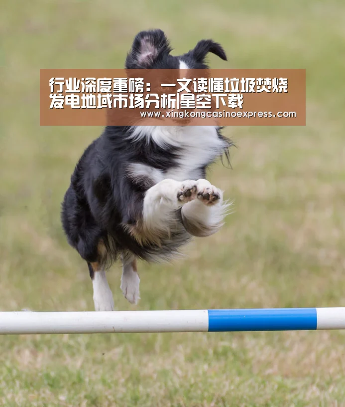 行业深度重磅:一文读懂垃圾焚烧发电地域市场分析|星空下载(图3) 星空真人