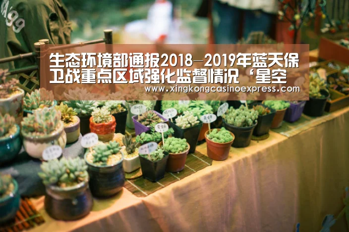 生态环境部通报2018-2019年蓝天保卫战重点区域强化监督情况‘星空下载’(图2) 星空APP