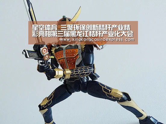 星空体育_三聚环保创新秸秆产业精彩亮相第三届黑龙江秸秆产业化大会(图4) 星空APP